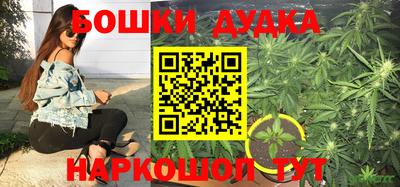 прущие крисы Шахты