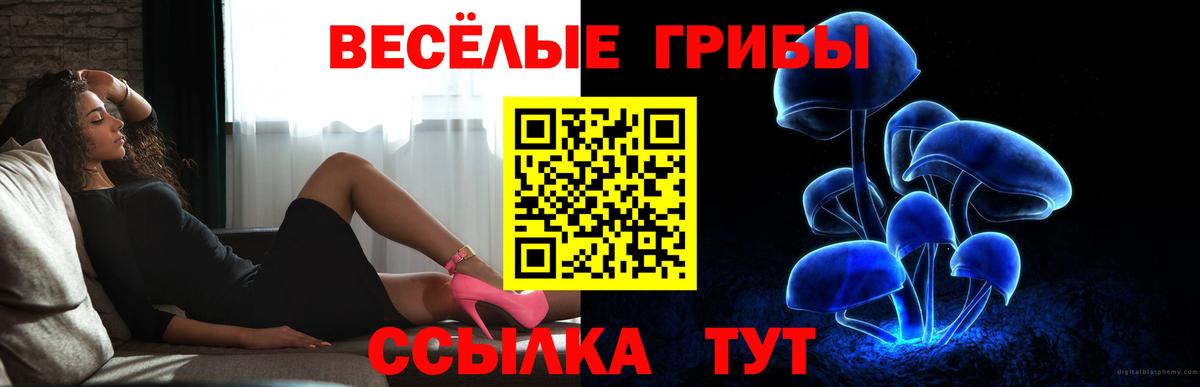 Псилоцибиновые грибы Psilocybine cubensis Большой Камень